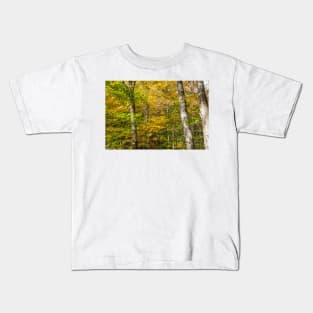 Golden and green hues of birch forest in a New England fall Kids T-Shirt